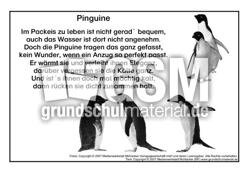 Pinguin-SW.pdf